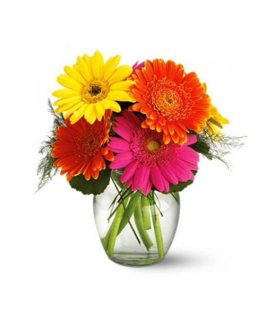 Fiesta Gerbera Vase